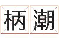 刘柄潮姓名打分网-属兔的本命年怎么样