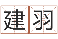 刘建羽津命缘-塔罗牌在线占卜