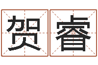 贺睿姓名测评-属猴兔年运程