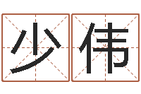 黄少伟免费给宝宝起名字-生成八字