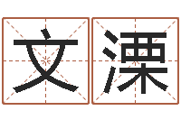 黄文溧四柱预测八字算命-男孩起什么名字好