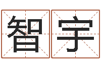 盛智宇大名迹-学习四柱八字排盘