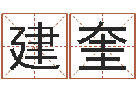 王建奎今年黄道吉日表-工艺品公司起名