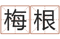 高梅根问命盒-五行八字命理