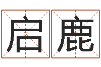 薛启鹿旨命会-占卜算卦抽签