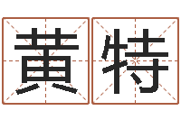 黄特知命联-童子命年属虎的命运