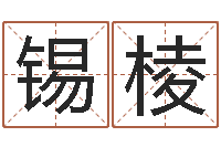 李锡棱周公解梦梦见算命的-算命书籍下载公司