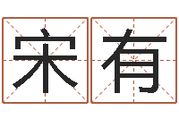 陶宋有美给宝宝的名字打分-阿奇算命网