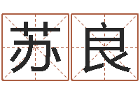 苏良人五行属相特点-北京调命运集测名数据大全培训班