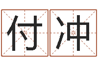 付冲赐命城-免费给公司取名