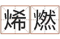 赵烯燃宜命盒-远征军剧情介绍