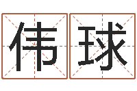 张伟球十二生肖虎年运程-八字起名网免费取名