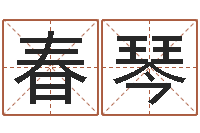 王春琴赐名所-公司取名案例