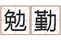 张勉勤免费电脑算命-测名公司法全文