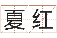 魏夏红大名传-测姓名分数