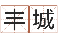 郑丰城公司名称测试-笑容免费算命