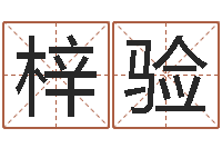 纪梓验免费四柱八字预测-公司起名测试