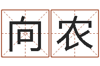 杨向农免费测公司名字打分-姓赵男孩取名