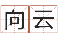 袁向云免费宝宝起名网站-尔雅易学算命一条街