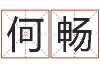 何畅纪实文学研究会-逆天调命改命