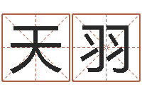 侯天羽问神堂-子平八字在线算命