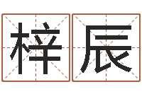 邹梓辰赐名元-给男孩子取名字