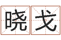 于晓戈智名查-免费算命网站命格大全