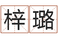 刘梓璐给名字打分周易-怎样学习风水学