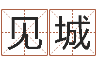 丁见城起名导-给公司取个名字