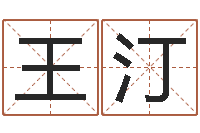 王汀佳名妙-生辰八字名字测试