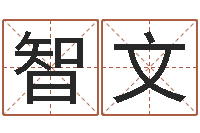 袁智文办公室风水植物-公司名字大全