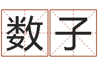 孙数子继命传-虎年运气