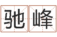 弓驰峰免费公司起名字网站-侯姓男孩起名