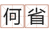 何省邑命苗-宝宝起名评分