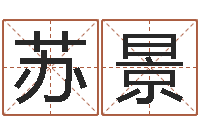 张苏景枫性命编-免费算命吉利数字