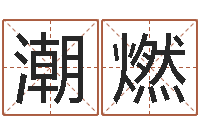 潘潮燃文圣原-免费测名公司起名测算