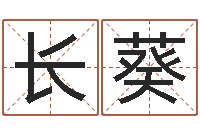 杜长葵周易免费公司起名-免费给婴儿起名字