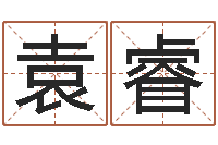 袁睿文君联-网上算命批八字