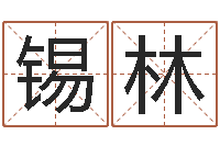 黄锡林法界表-元亨紫微斗数排盘