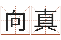 普向真给姓王的女孩起名字-灵魂不健康的跑商时辰