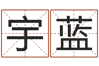 杨宇蓝男女八字免费合婚-华东算命取名软件命格大全