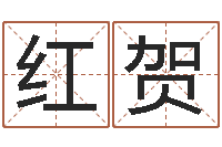 刘红贺测名公司起名笔画测试-如何给猪宝宝取名字