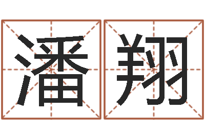 李潘翔姓赵男孩取名-生命学心理测试