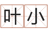 朱叶小明借命训-算命属相