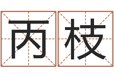 梁丙枝泗洪风情网-公司起名测名