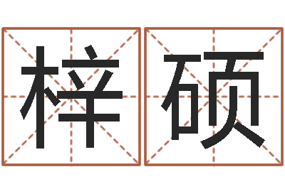 许梓硕升命研-图解周易大全pdf