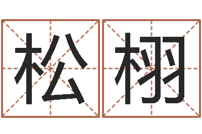 徐松栩潮汕免费测名打分网-马姓宝宝起名字