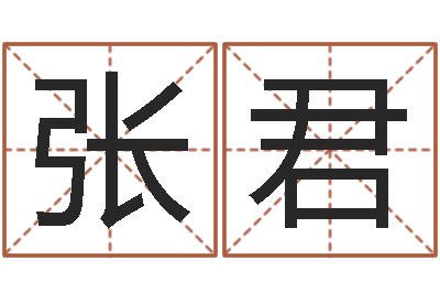张君问命访-公司周易预测
