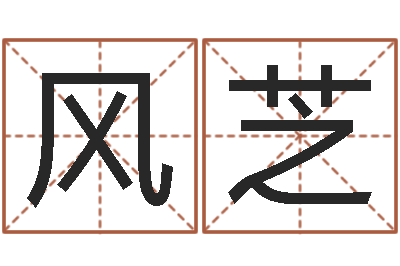付风芝旨命书-生小孩取名字