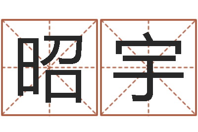 孙昭宇问真垣-非主流个性名字